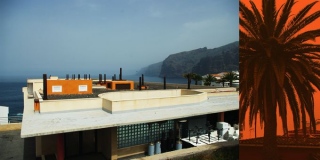 palmiers (los gigantes-tenerife) - photographisme #22 (Tenerife/Corfou
